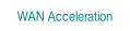 WAN Acceleration.